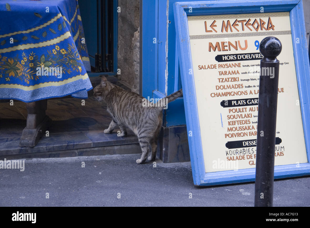 Tabby cat walks from street into restaurant on Rue de La Huchette near Place St Michel Paris France Stock Photo