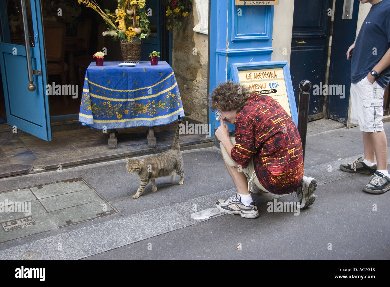 Tourist stops to snap picture of French tabby cat on Rue de La Huchette near Place St Michel Paris France Stock Photo