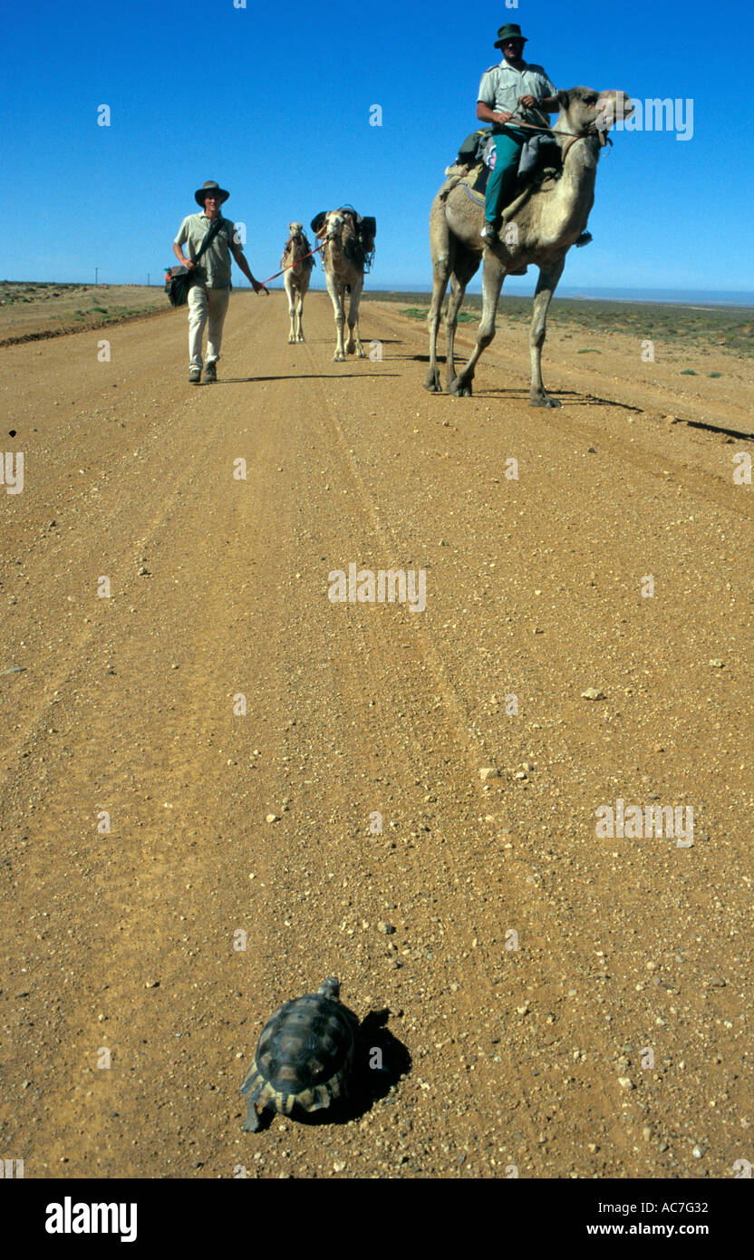 Explorer Benedict Allen on his journey through the Namib Naukluft desert Stock Photo