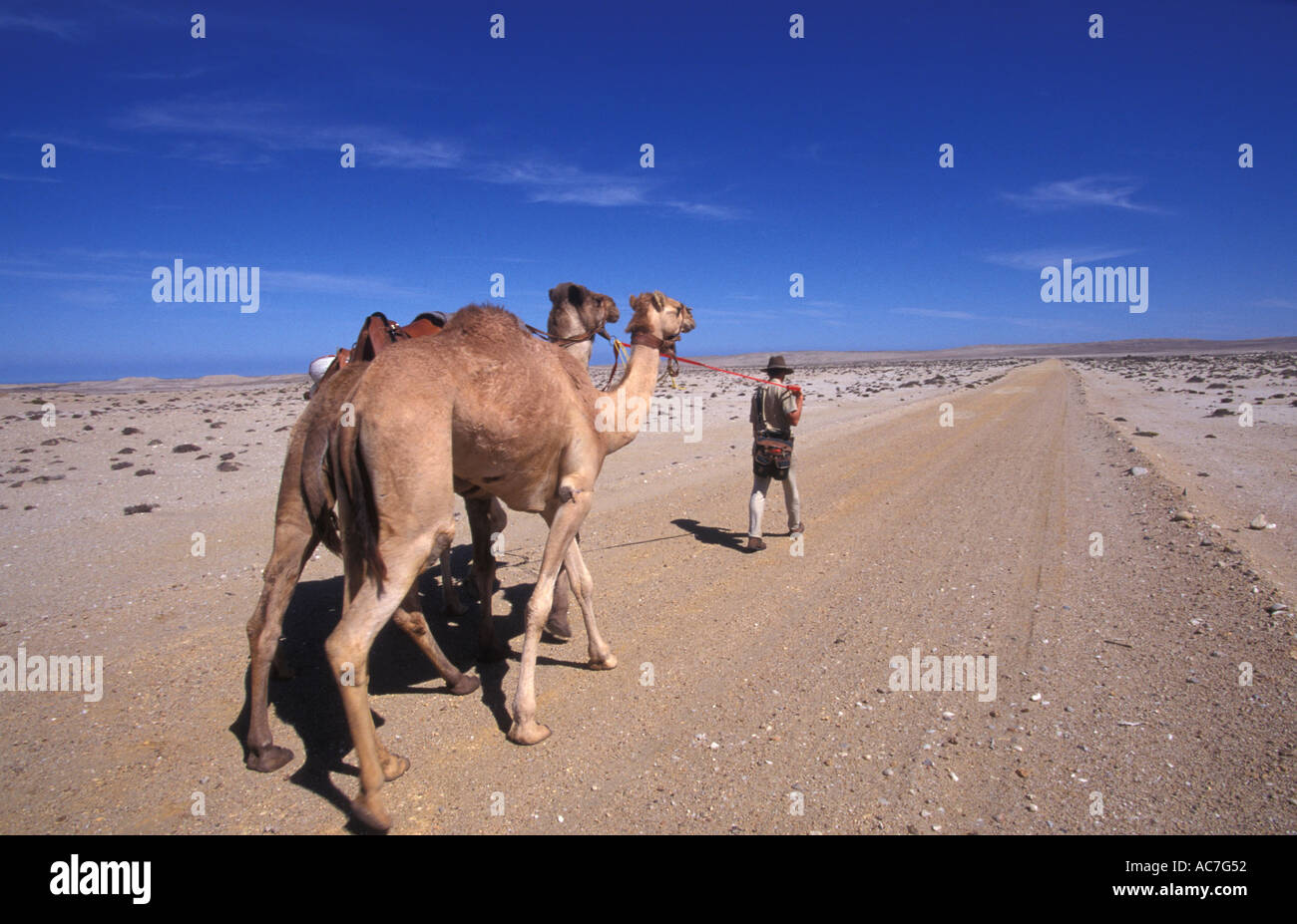 Benedict Allen on his journey through restricted Diamond mining region of the Namib Naukluft desert Stock Photo