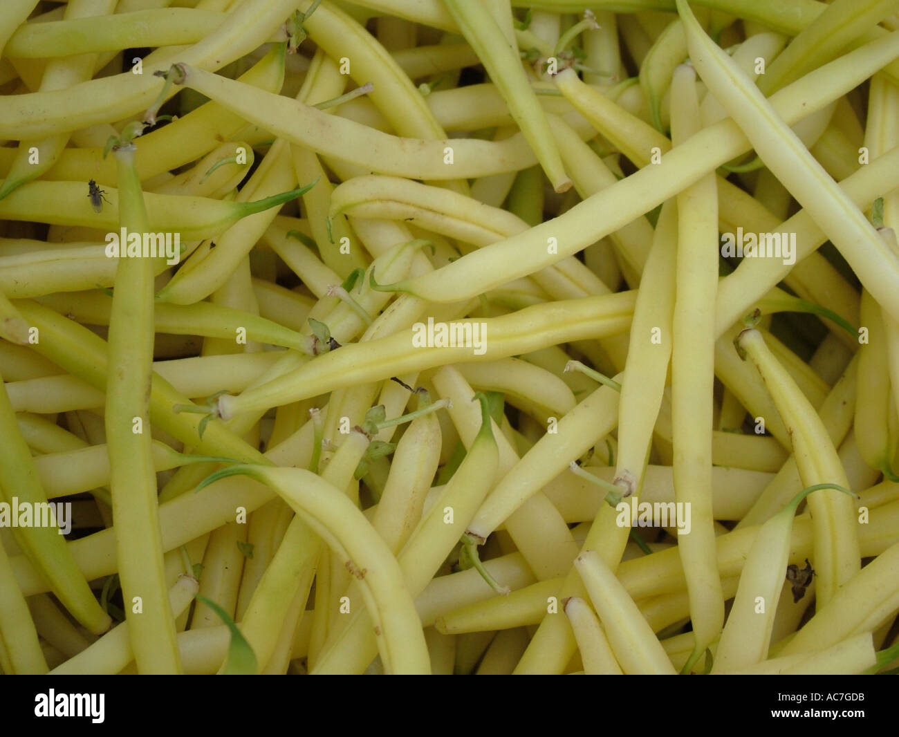 Yellow new wax hires stock photography and images Alamy