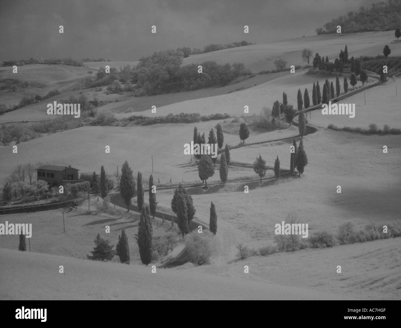 Tuscany cypress trees road Black and White Stock Photos & Images - Alamy