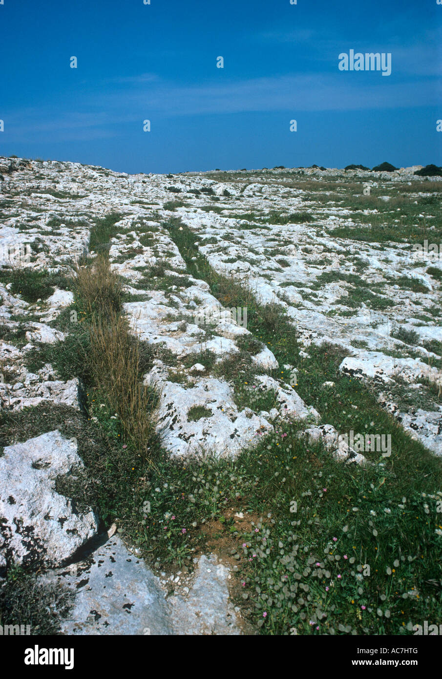 Cart tracks Malta Stock Photo Alamy