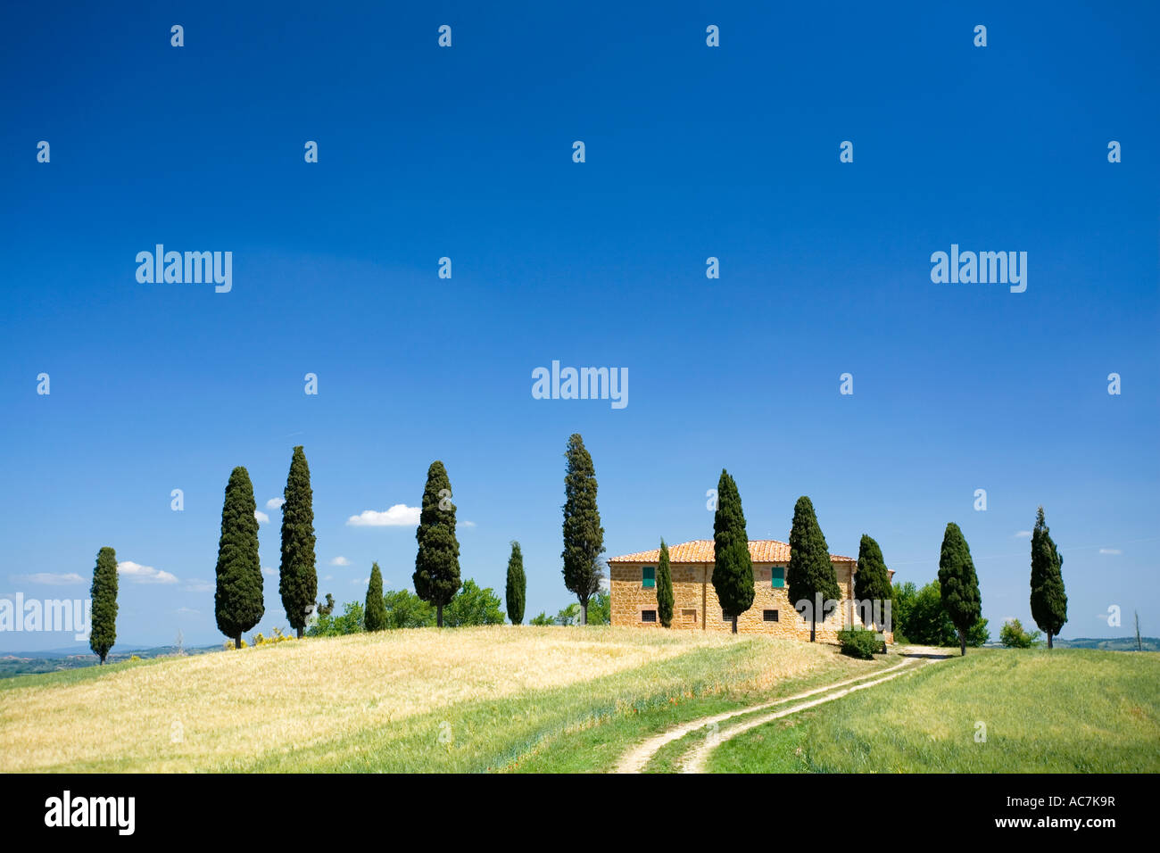 Farmhouse and Cypress trees at the end of a road near Pienza in Tuscany ...