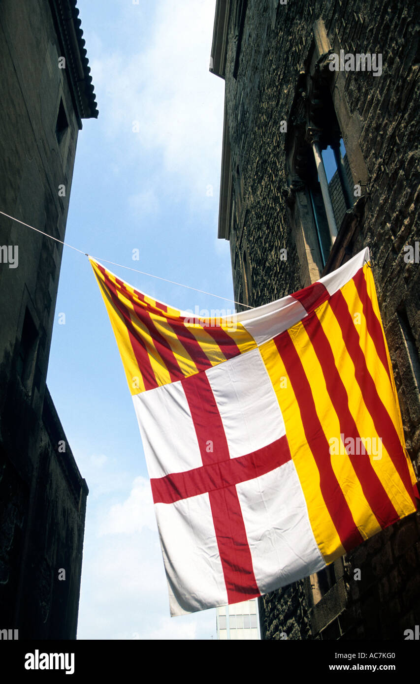 OFFICIAL BARCELONA SPAIN FLAG visual data 8