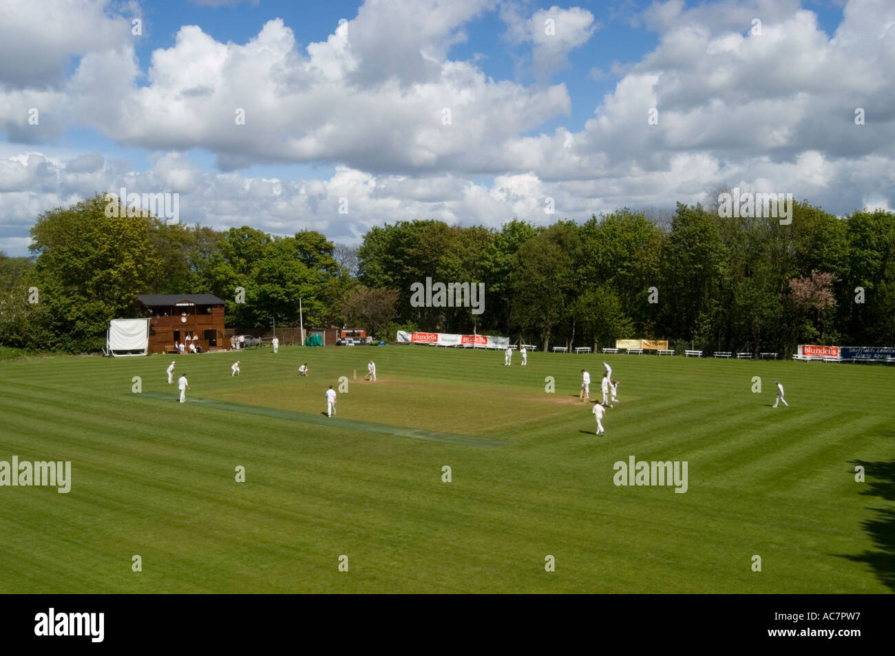 Cricket Parkhead Sheffield UK Stock Photo Alamy