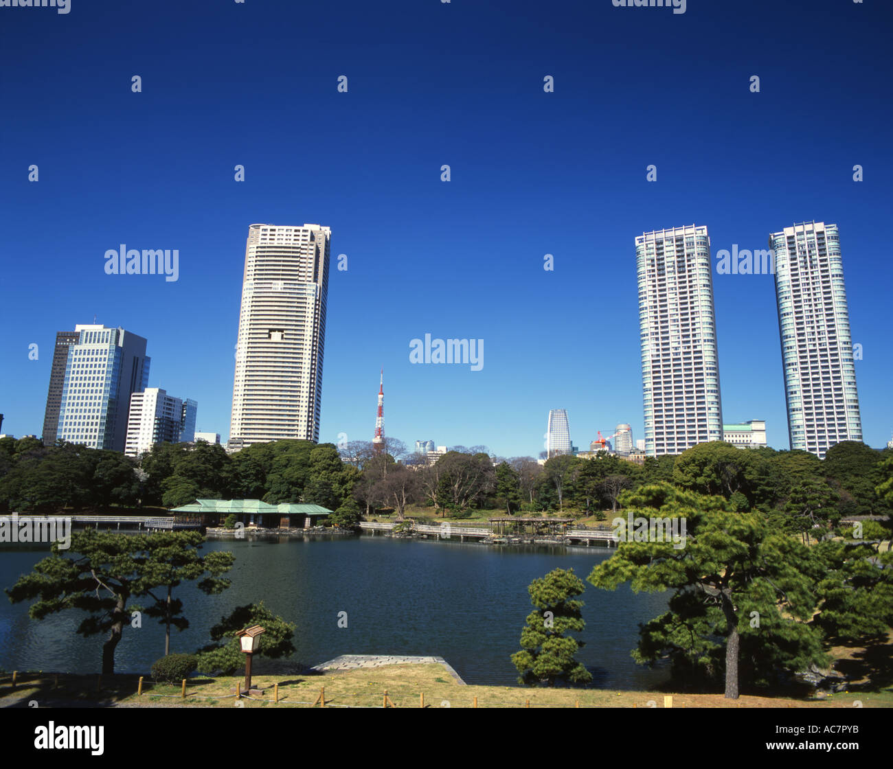 Tokyo Skyline, Hama-rikyu Gardens near Shiodome SIO-SITE Stock Photo