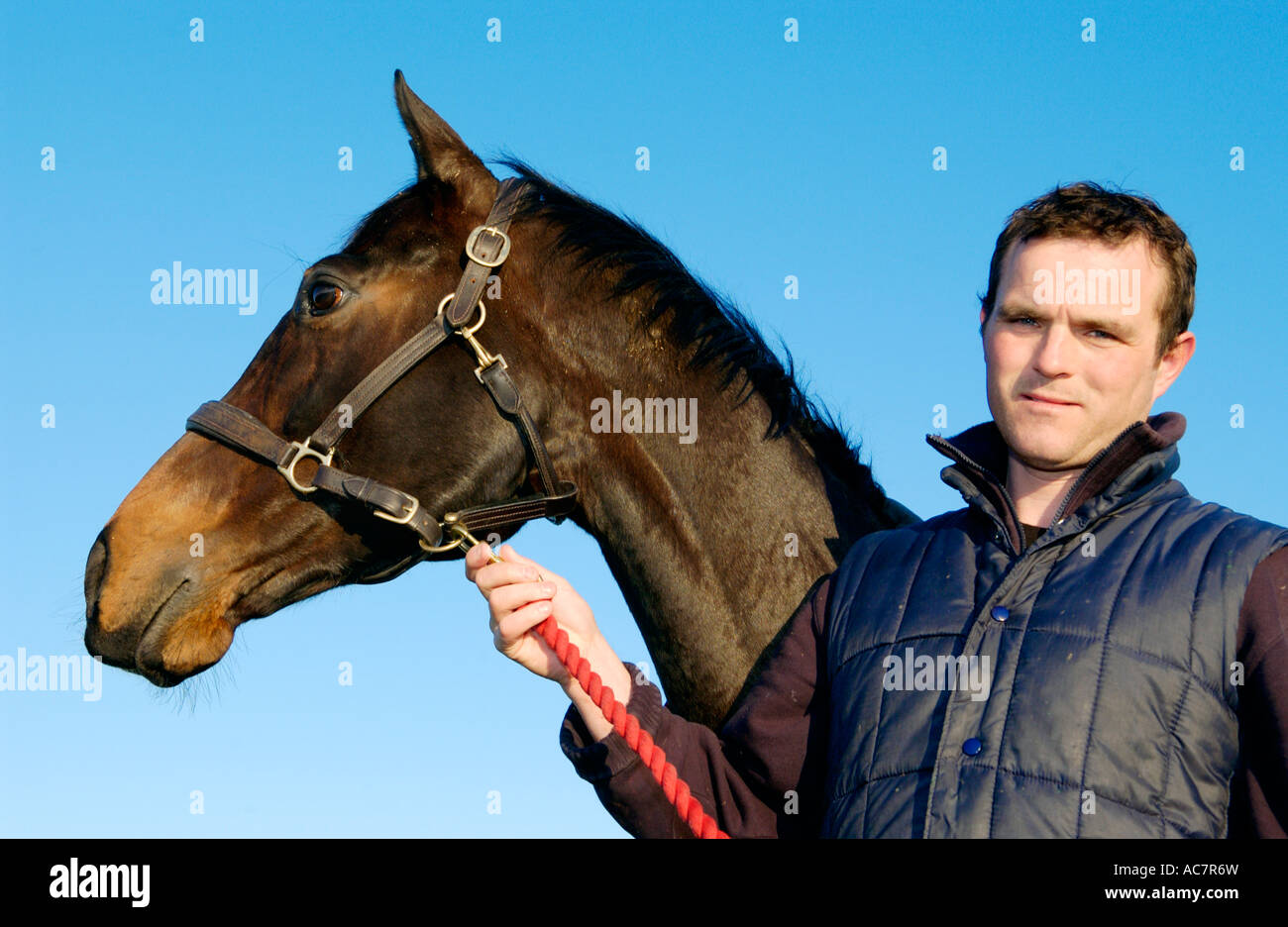 Evan Williams racehorse trainer with a horse he is training 'State of Play' at his Vale of Glamorgan yard South Wales UK Stock Photo