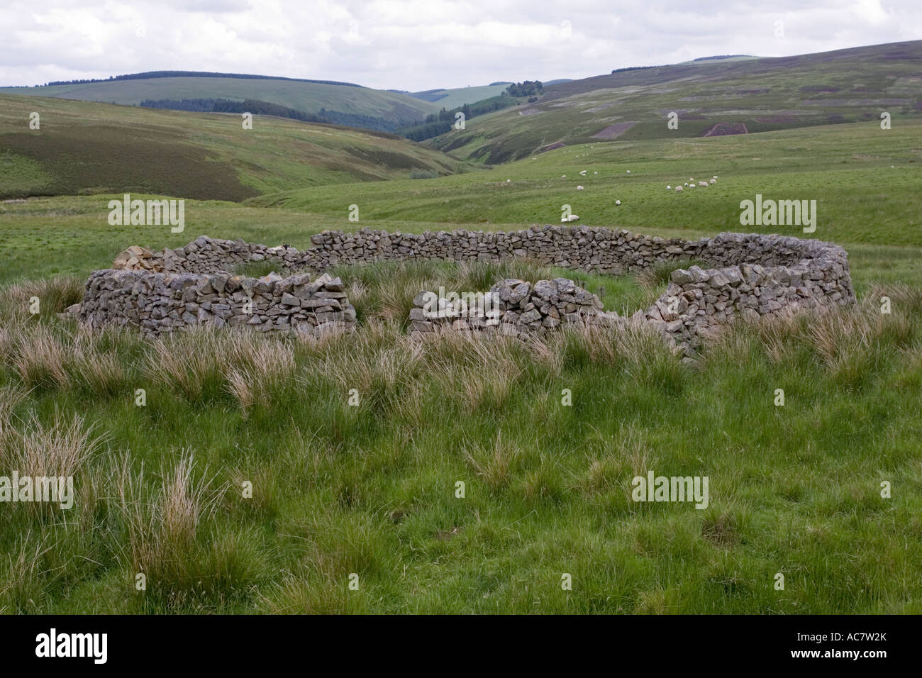 Stone sheep enclosure Moorfoot Hills Scottish Borders south of Edinburgh Scotland UK Stock Photo