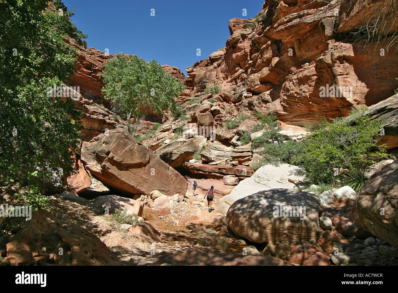 Hikers in Havasu Canyon Stock Photo