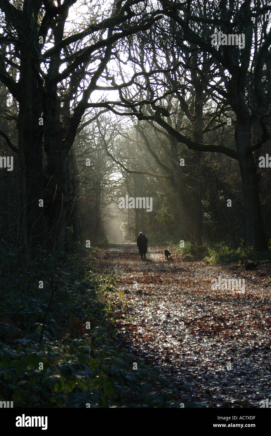 Dog Walking Sanderstead Dog Walking Sanderstead