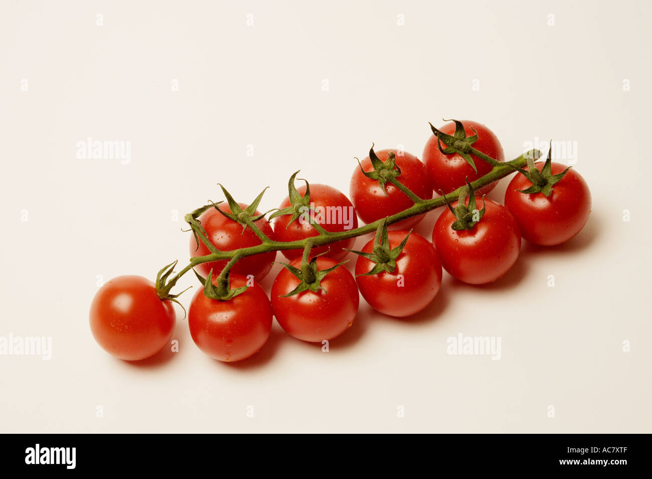 Cherry tomatoes on the vine Stock Photo