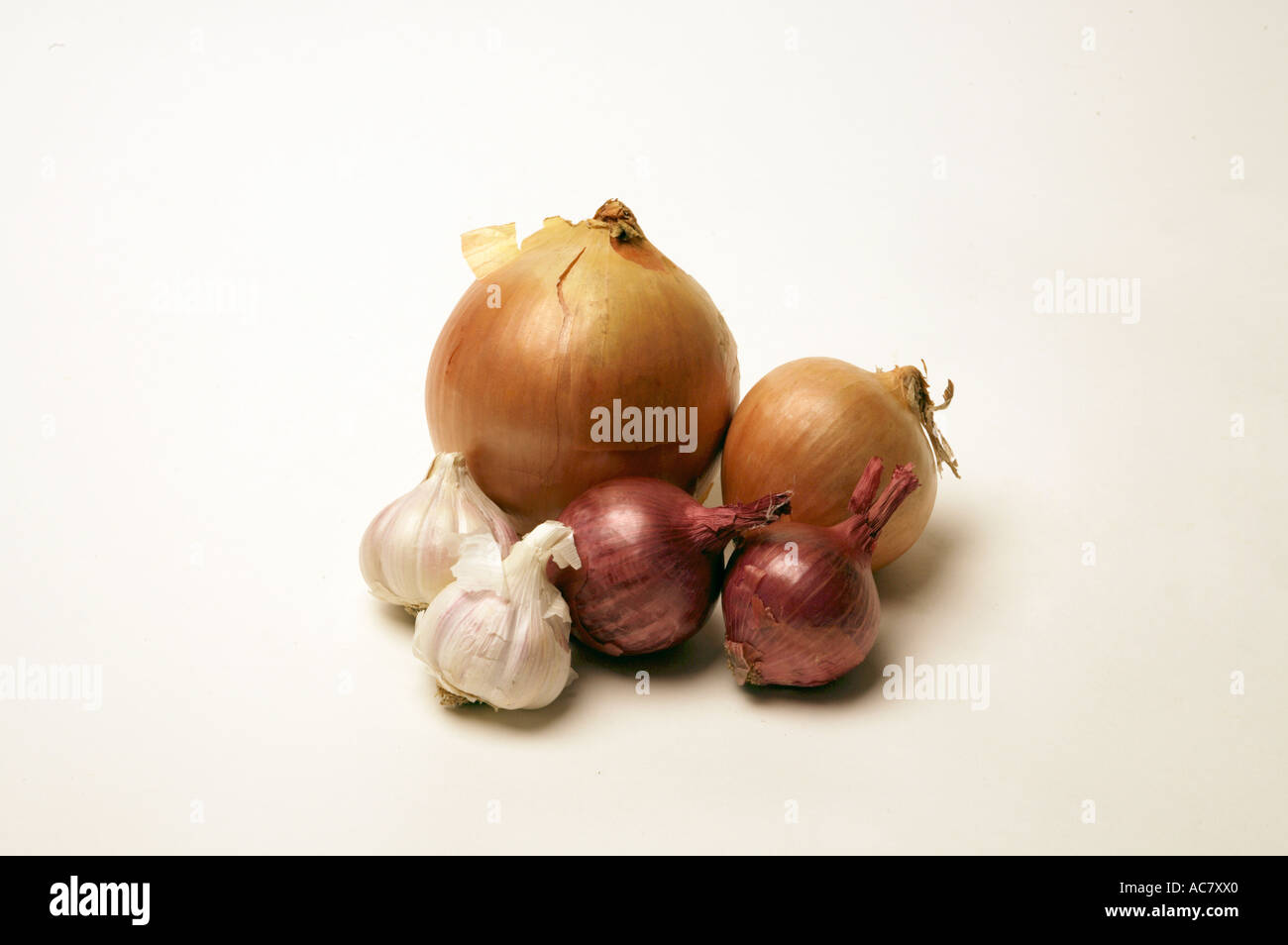Onions & Garlic on a white background Stock Photo - Alamy