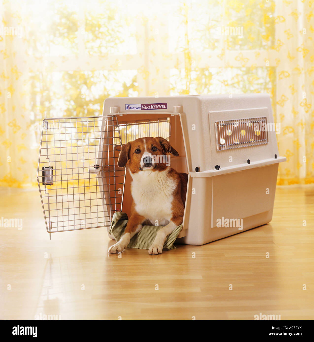 Animal tuckerbox dog enclosure sale