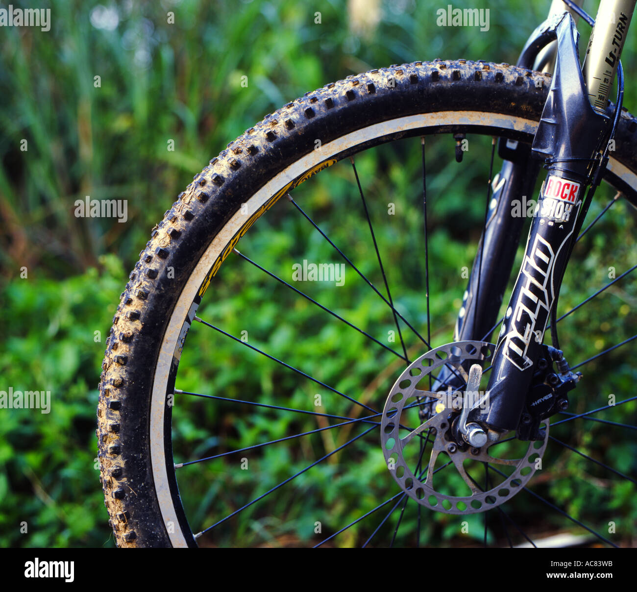 Mountain bike front wheel with front suspension system Stock Photo Alamy