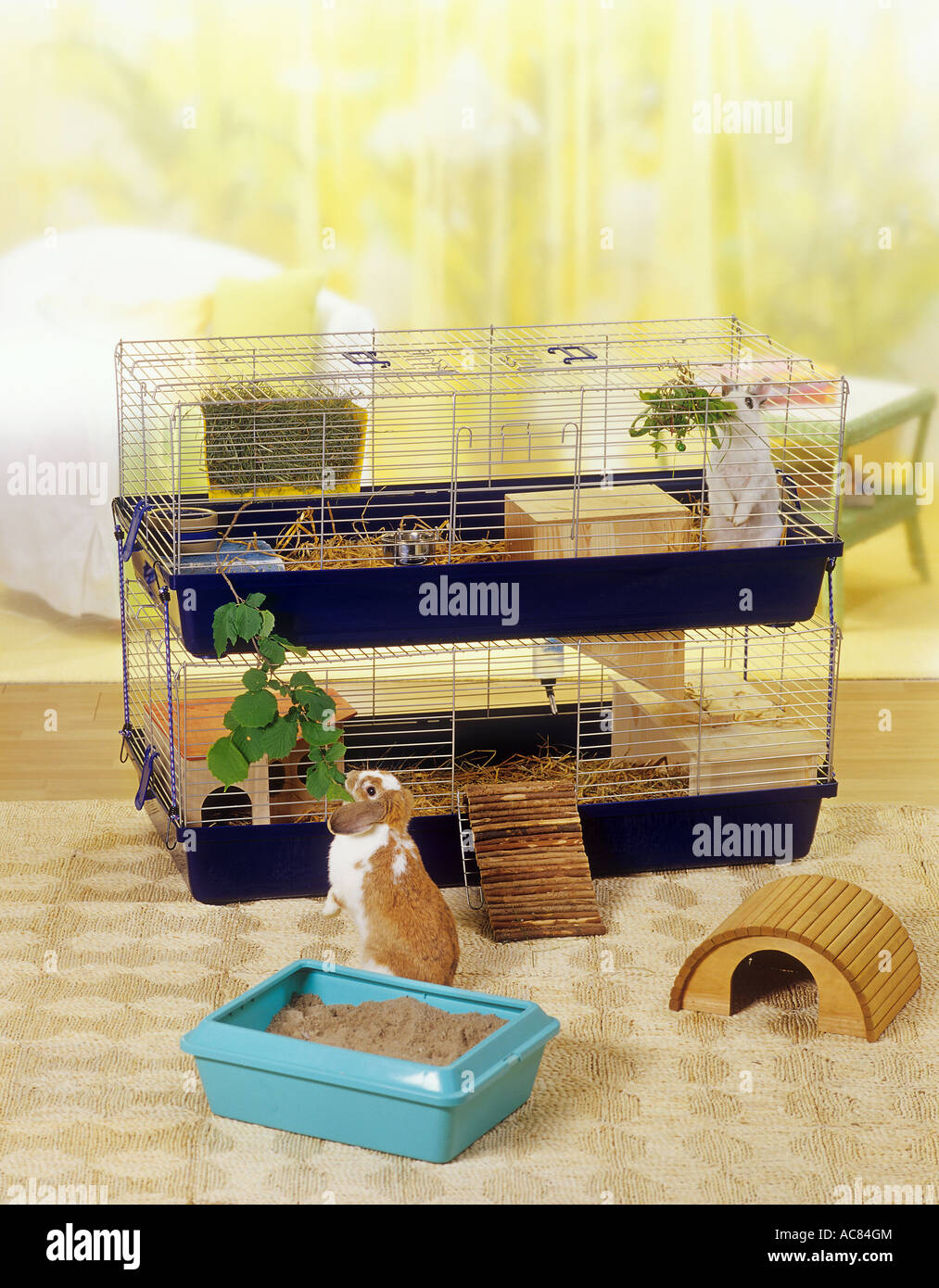 cage with floors for rabbits Stock Photo Alamy