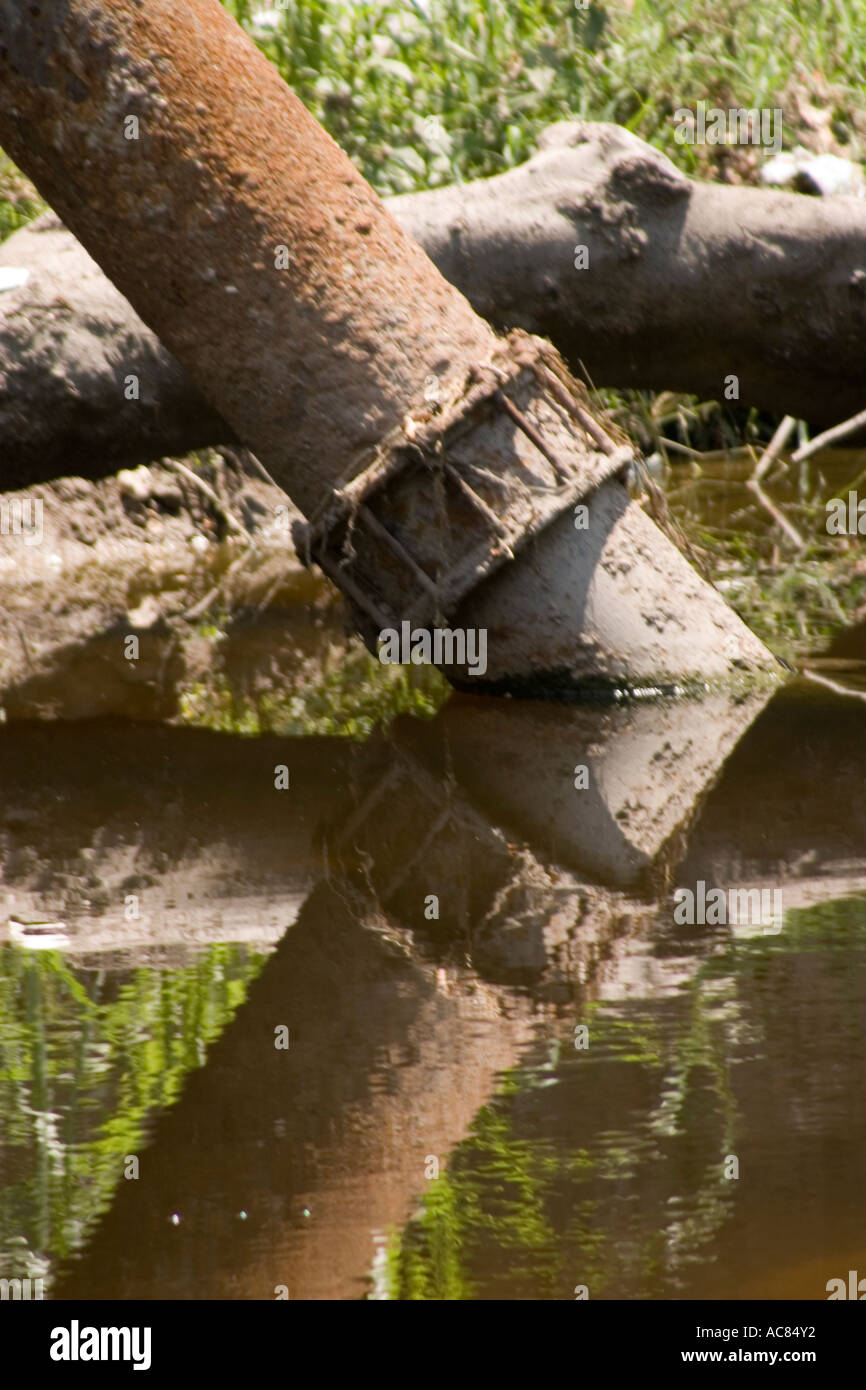 Pipe in dirty water Stock Photo Alamy