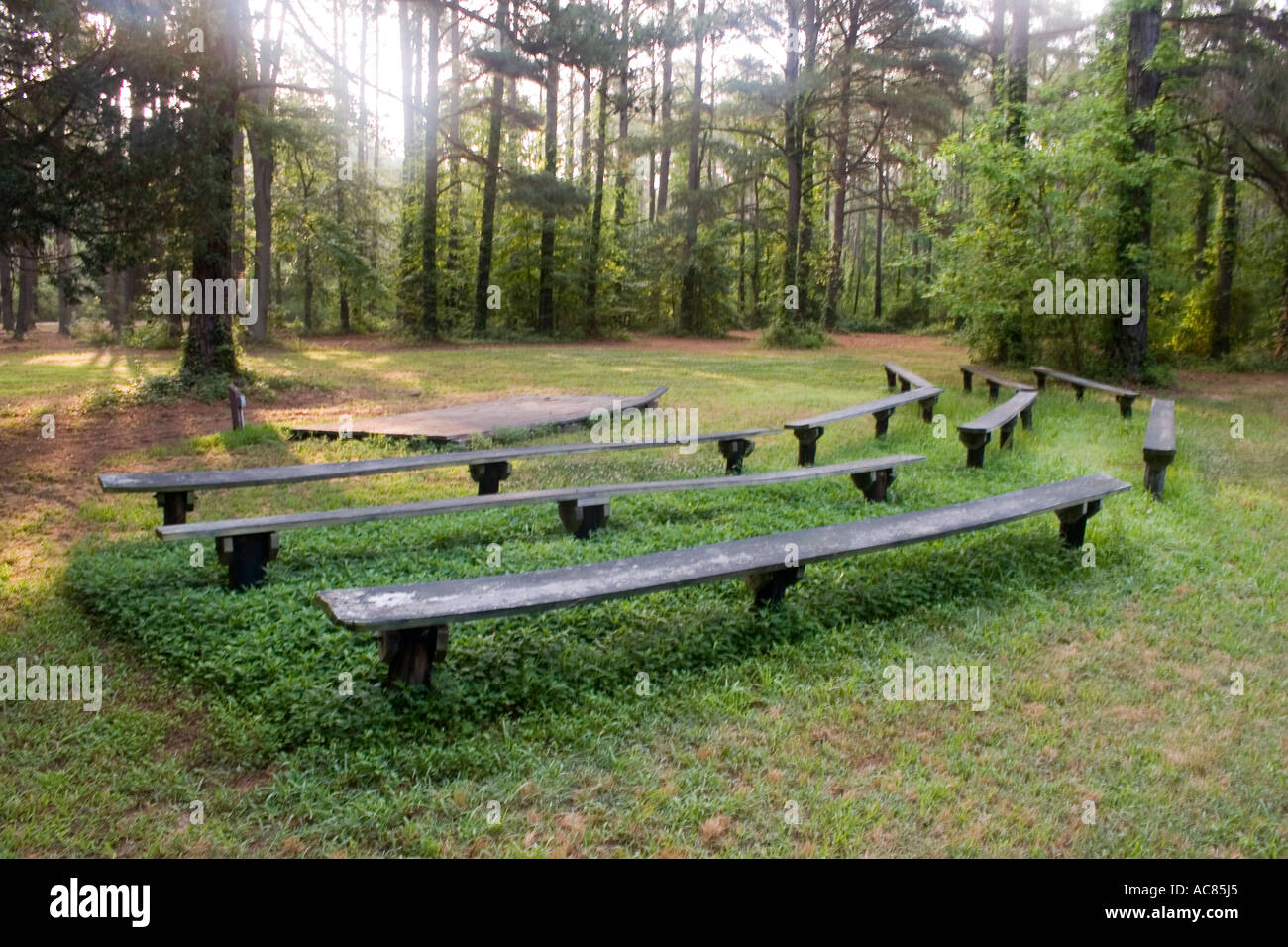 Performance stage in forest, bench benches branch clyde day destination forest grass green greenery growth horizontal leaf leave Stock Photo