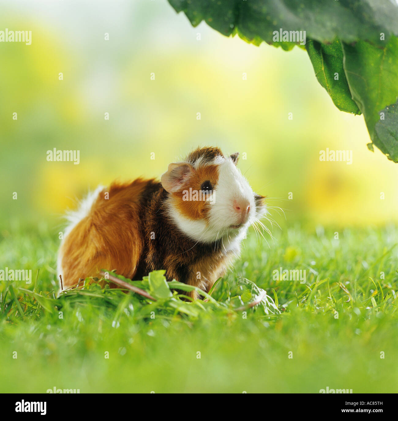 Gallery image with a fresh perspective