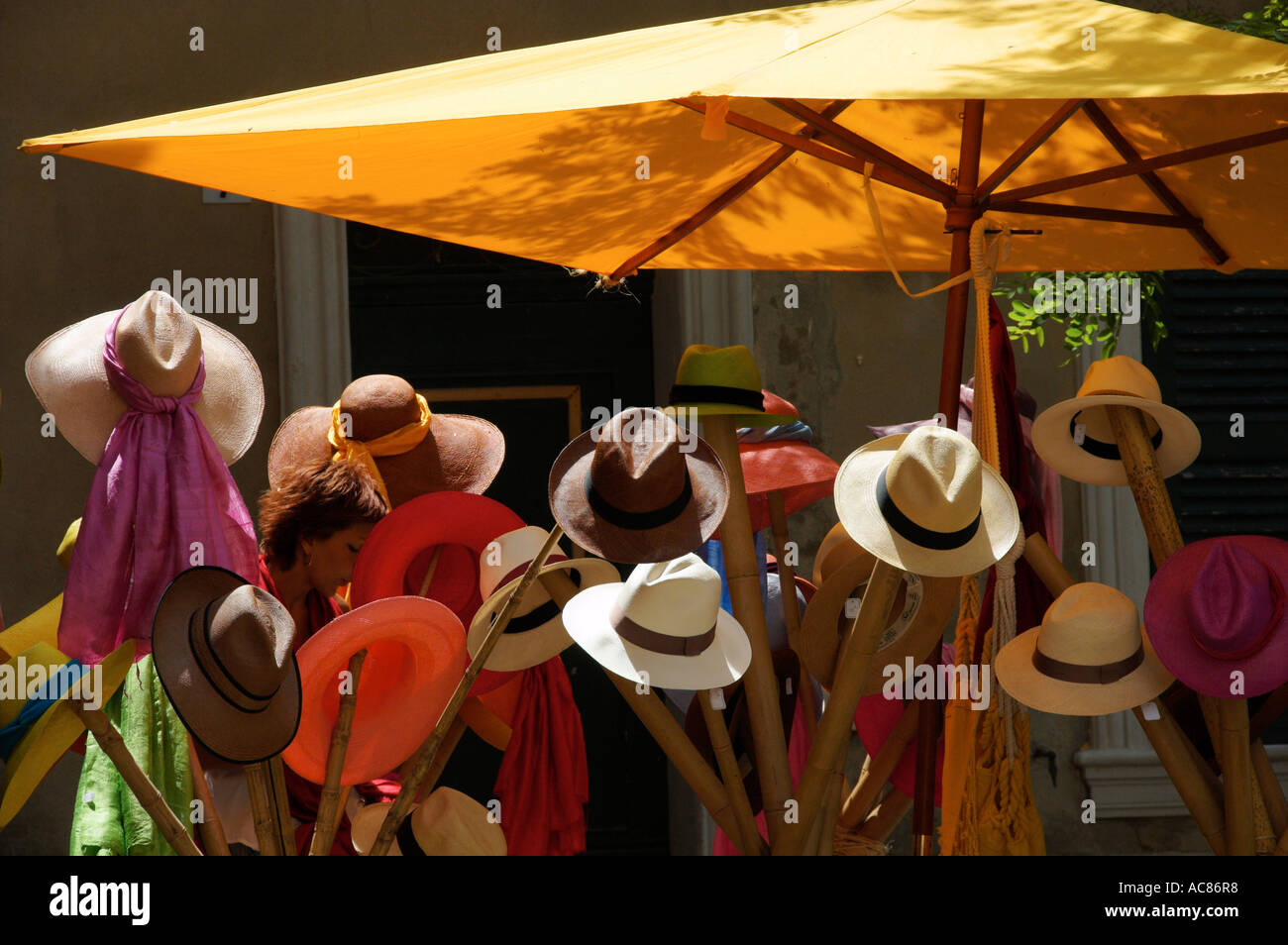 panama hat shop