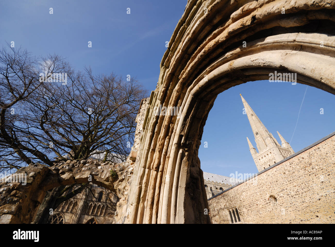 Norwich Cathedral Through Arch Stock Photo - Alamy
