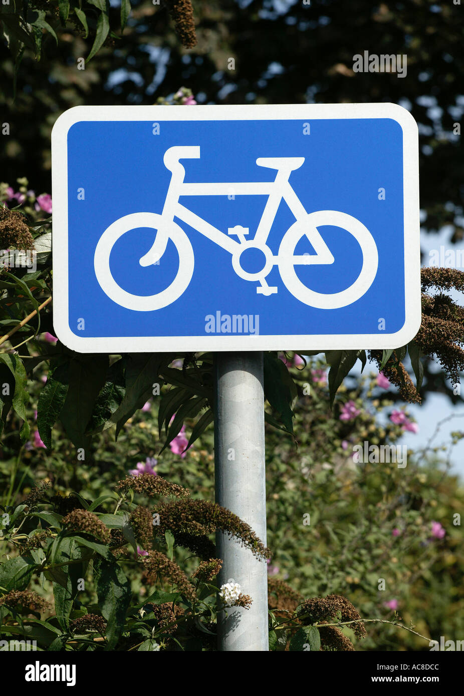 CYCLE LANE ROAD TRAFFIC SIGN UK Stock Photo Alamy
