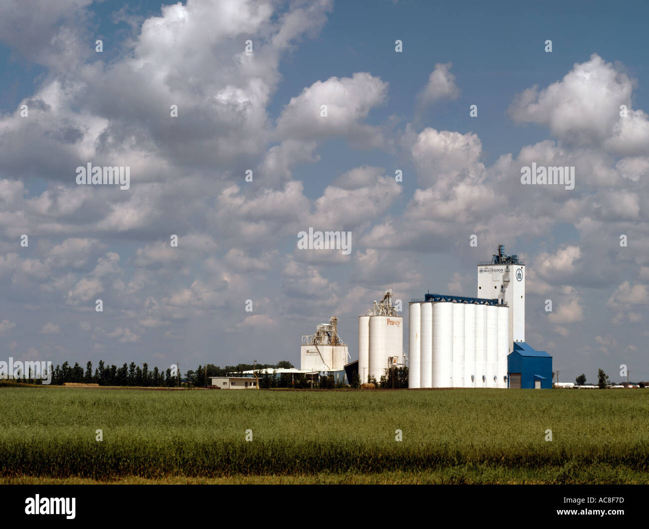 Grain elevator structure in Eastern North Dakota Stock Photo Alamy
