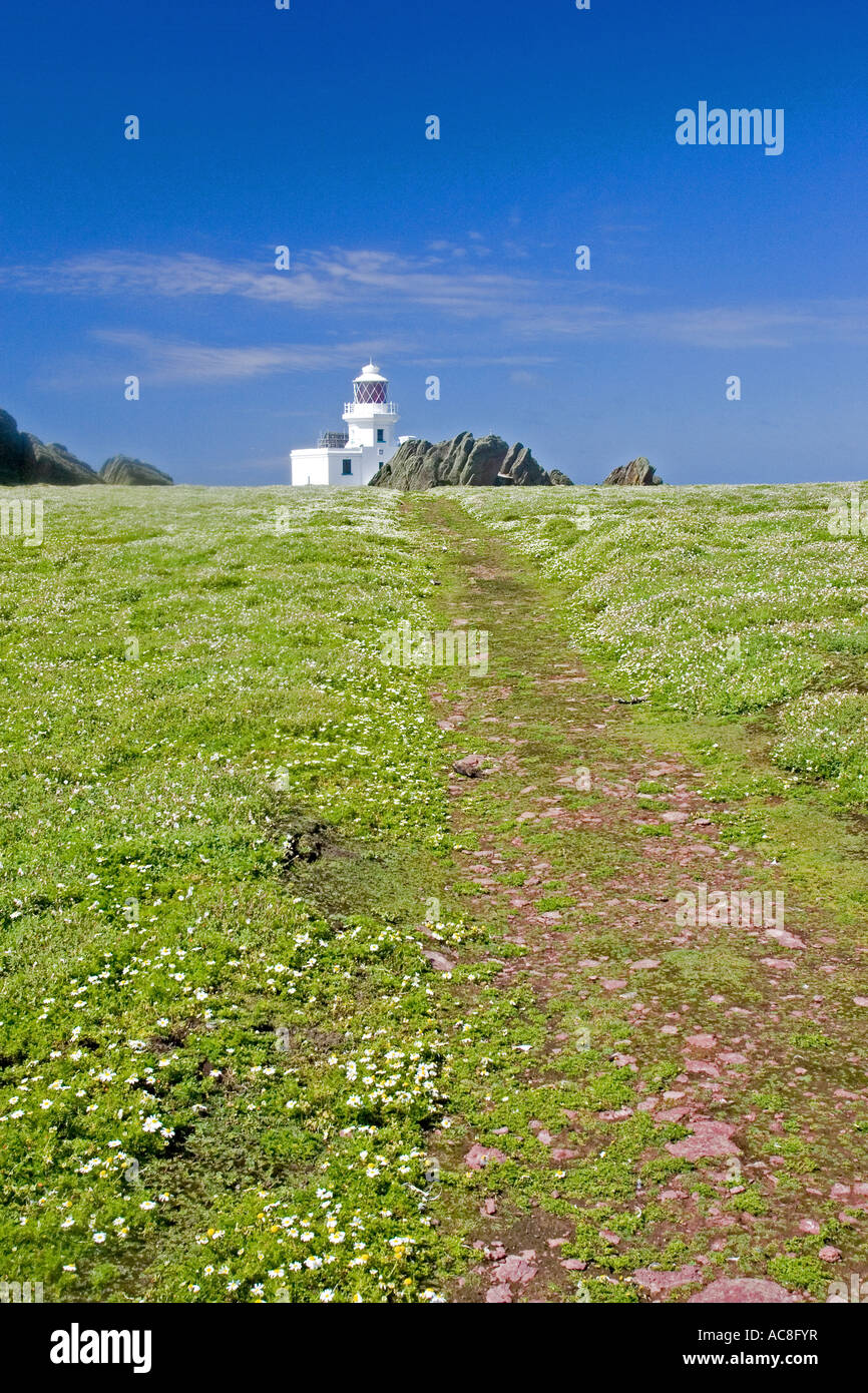 Track leading to Trinity lighthouse, Skokholm Is, Wales. Stock Photo