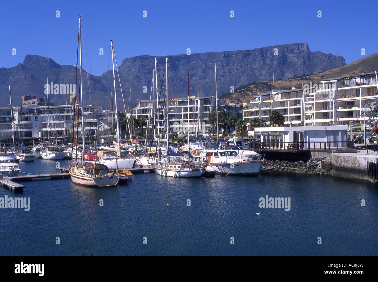 Yachts moored in Granger Bay with Table Mountain in the background Cape