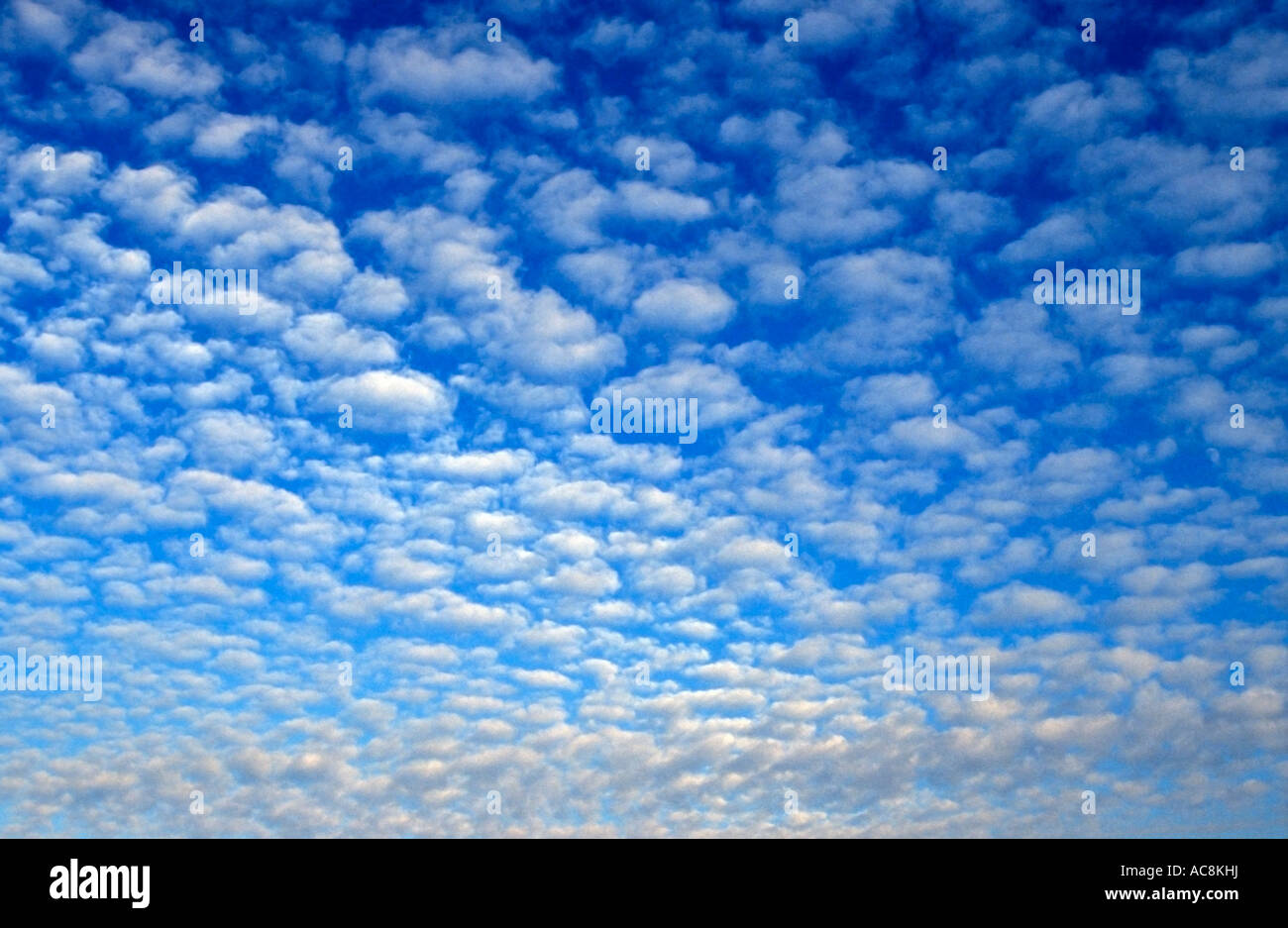 Cirrocumulus - beautiful sky clouds Stock Photo