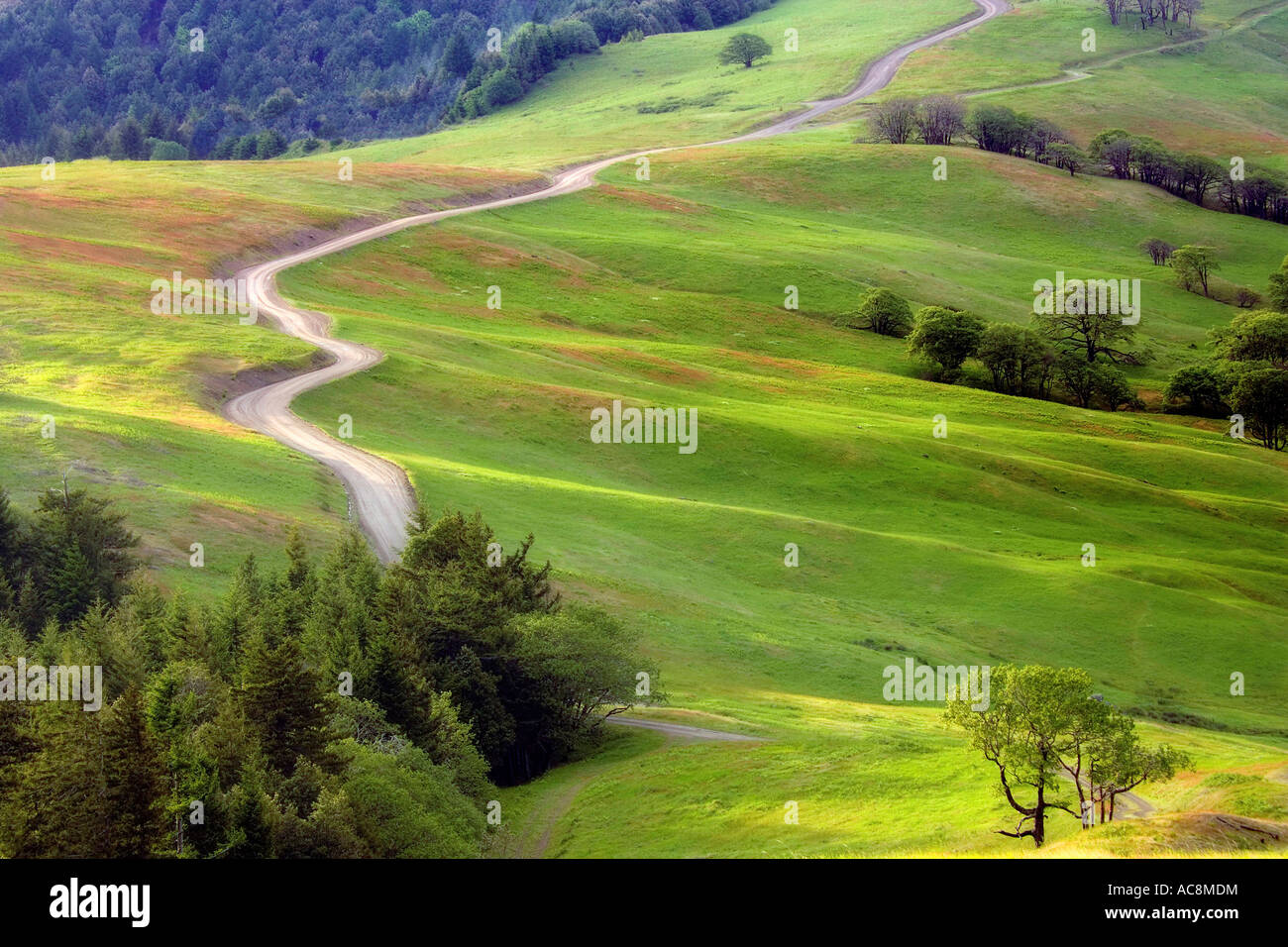 High angle view of a road running through a landscape, Bald Hills