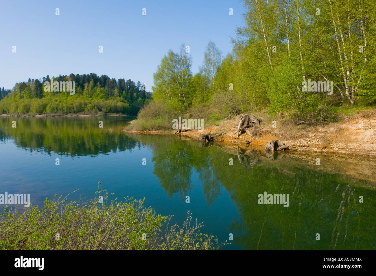 Riverside detail, Lepenica lake in Spring, Croatia Stock Photo