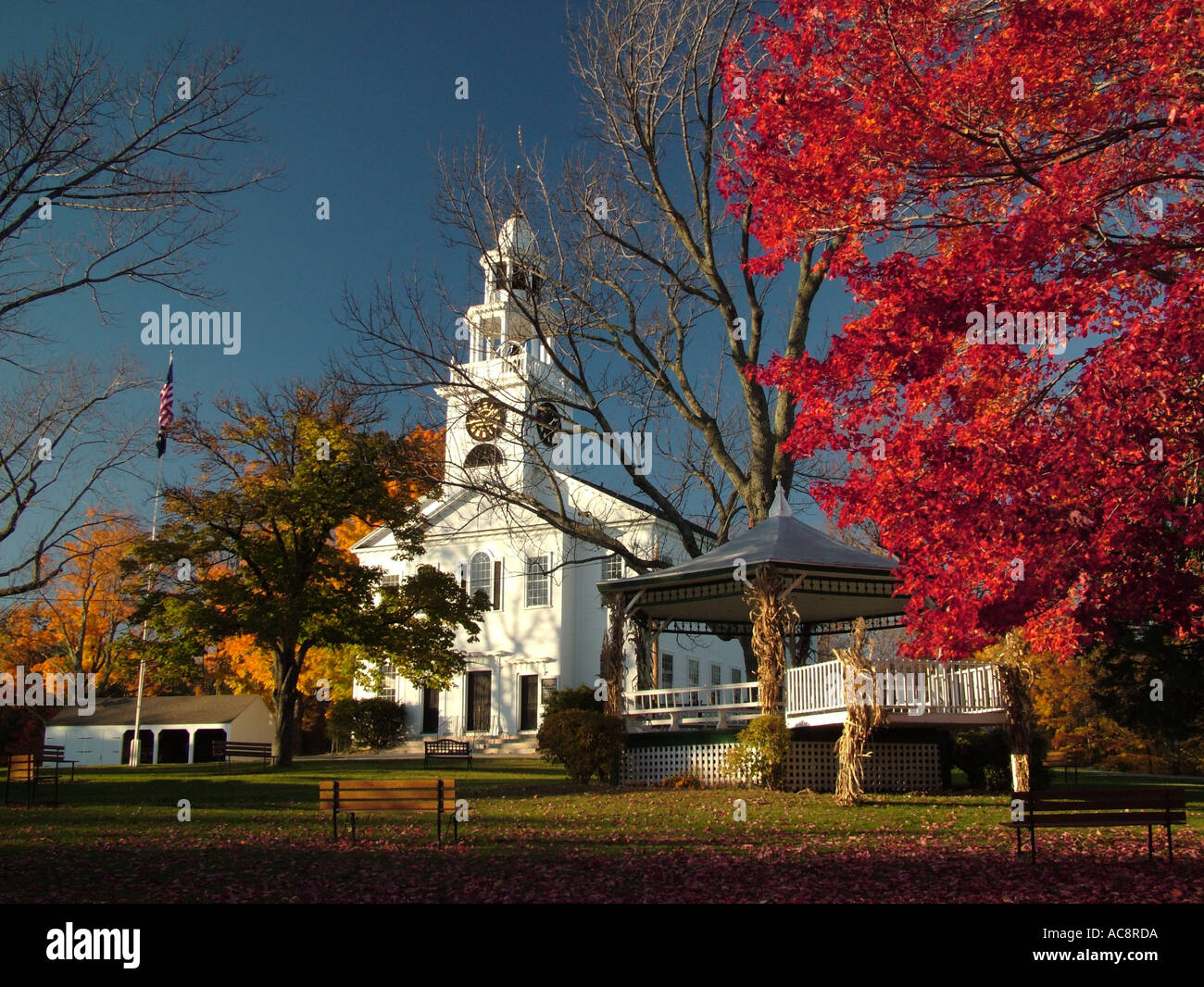 ashby premium lace up chelsea boot