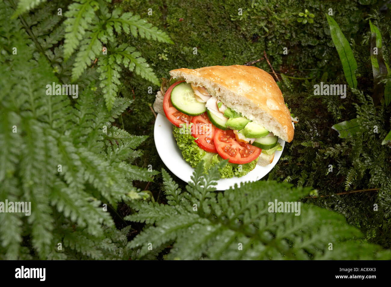 Picnic Lunch Wilderness Lodge Lake Moeraki West Coast South Island New