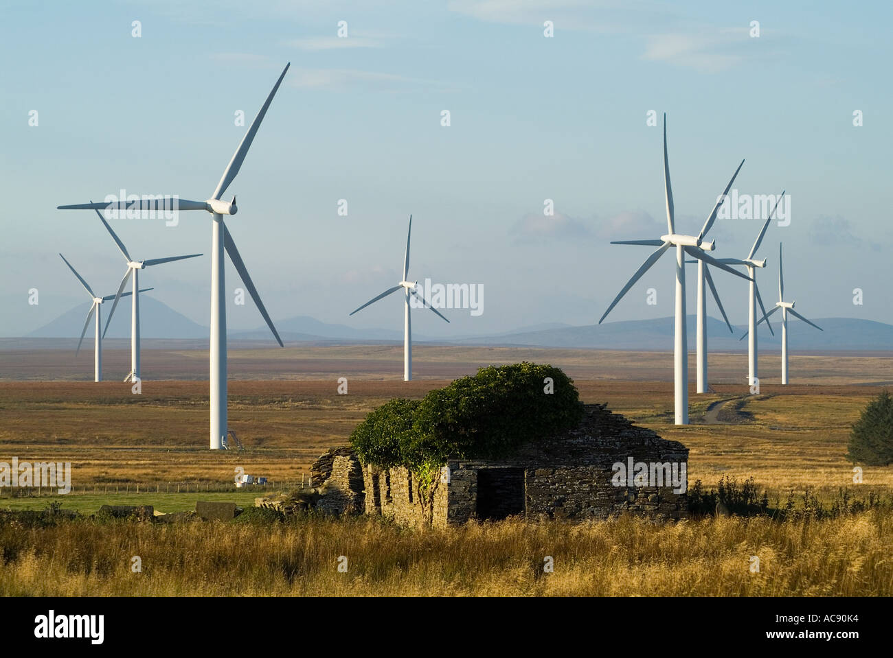 dh Causeymire Wind Farm NPOWER CAITHNESS Scottish Renewables energy RWE Turbine uk windfarm turbines windfarms flow country scotland renewable Stock Photo