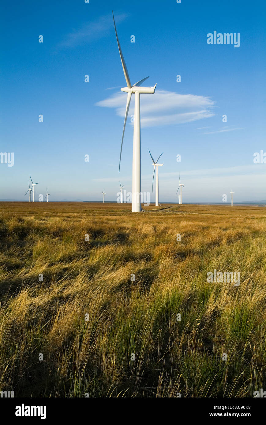 dh Causeymire Windfarm NPOWER ELECTRICITY CAITHNESS SCOTLAND Scottish RWE renewables National Wind farm Power Turbine Flow Country Stock Photo