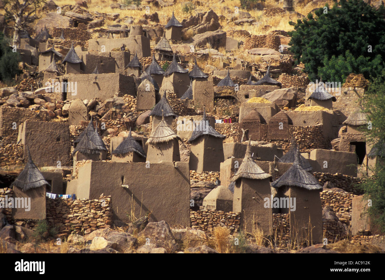 Scenic view of Dogon village near Bandiagara escarpment near Bandiagara escarpment, Dogon country Mali Stock Photo