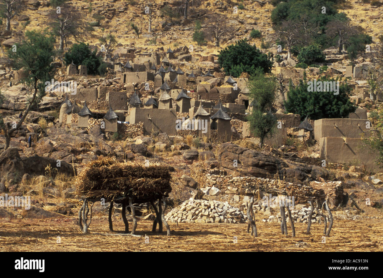 Scenic view of Dogon village near Bandiagara escarpment, Dogon country Mali Stock Photo