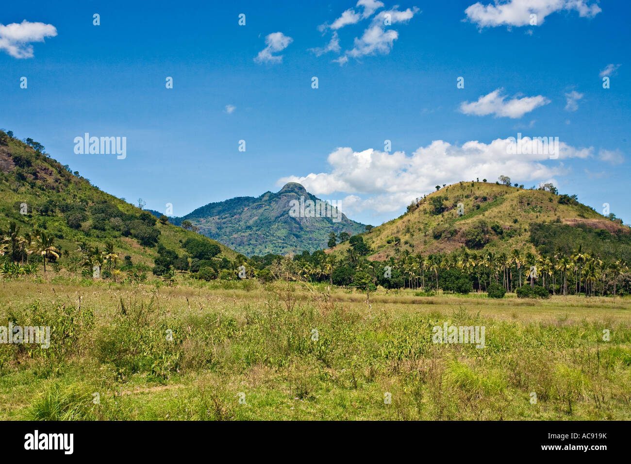 Usambara Mountains, Tanzania, Africa Stock Photo