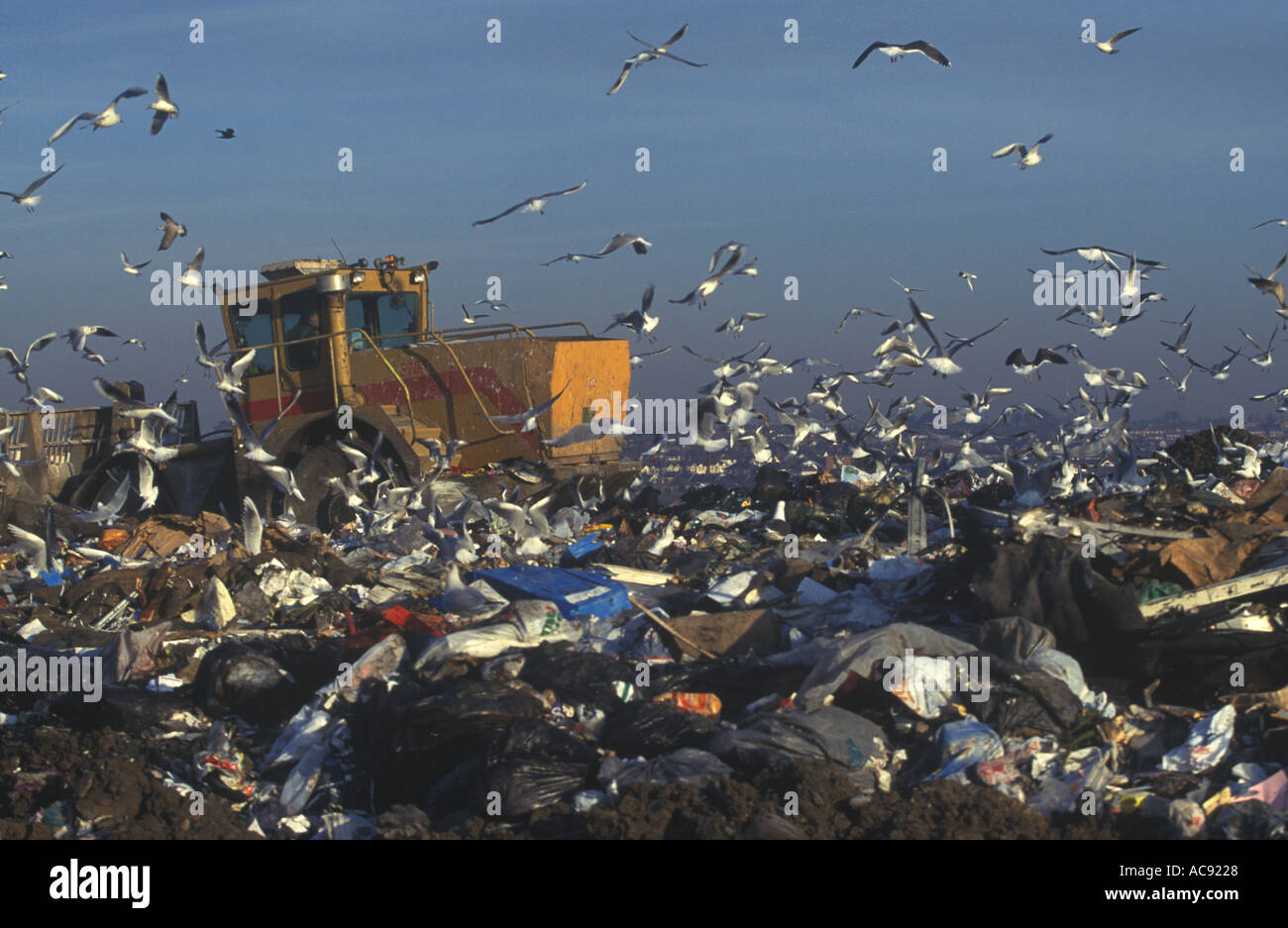 Landfill Site Cardiff South Glamorgan Wales UK Stock Photo