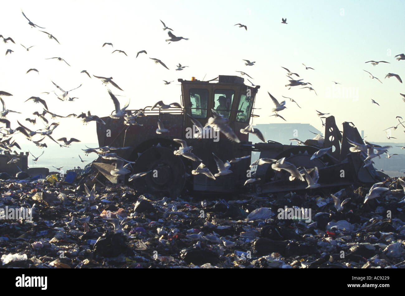 Landfill Site Cardiff South Glamorgan Wales UK Stock Photo