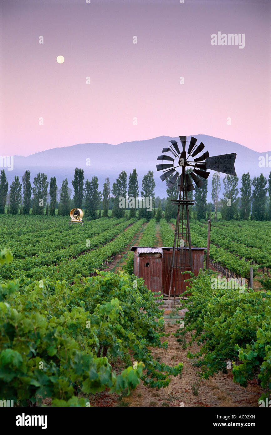 old time windmill in the wine country vineyards of Northern California at sunrise with harvest moon in Napa Valley vertical Stock Photo