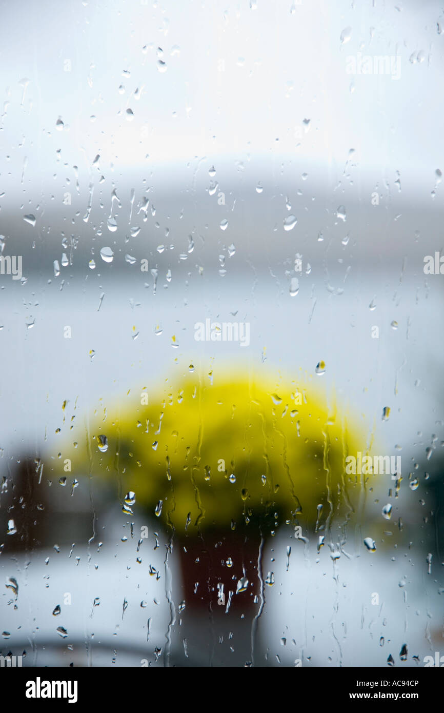 Rain drops on window Stock Photo - Alamy