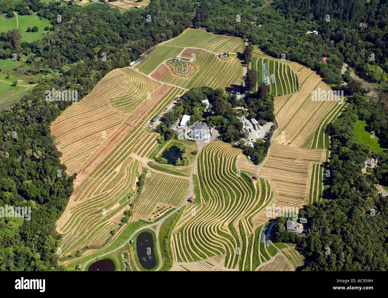 Benziger vineyards winery hi-res stock photography and images - Alamy