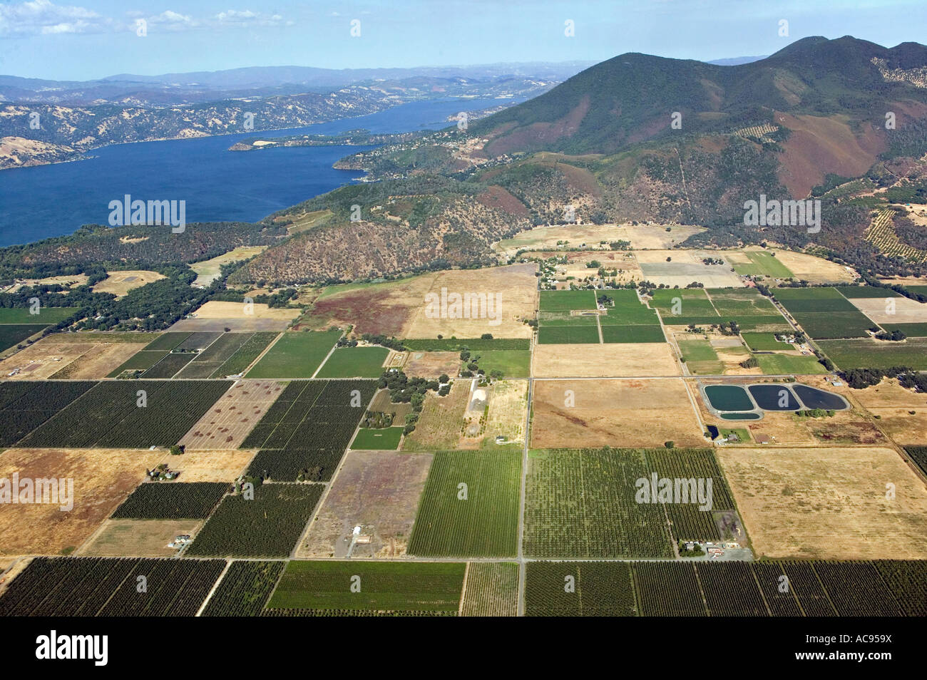 aerial view above fields Kelseyville California Clearlake and Mount