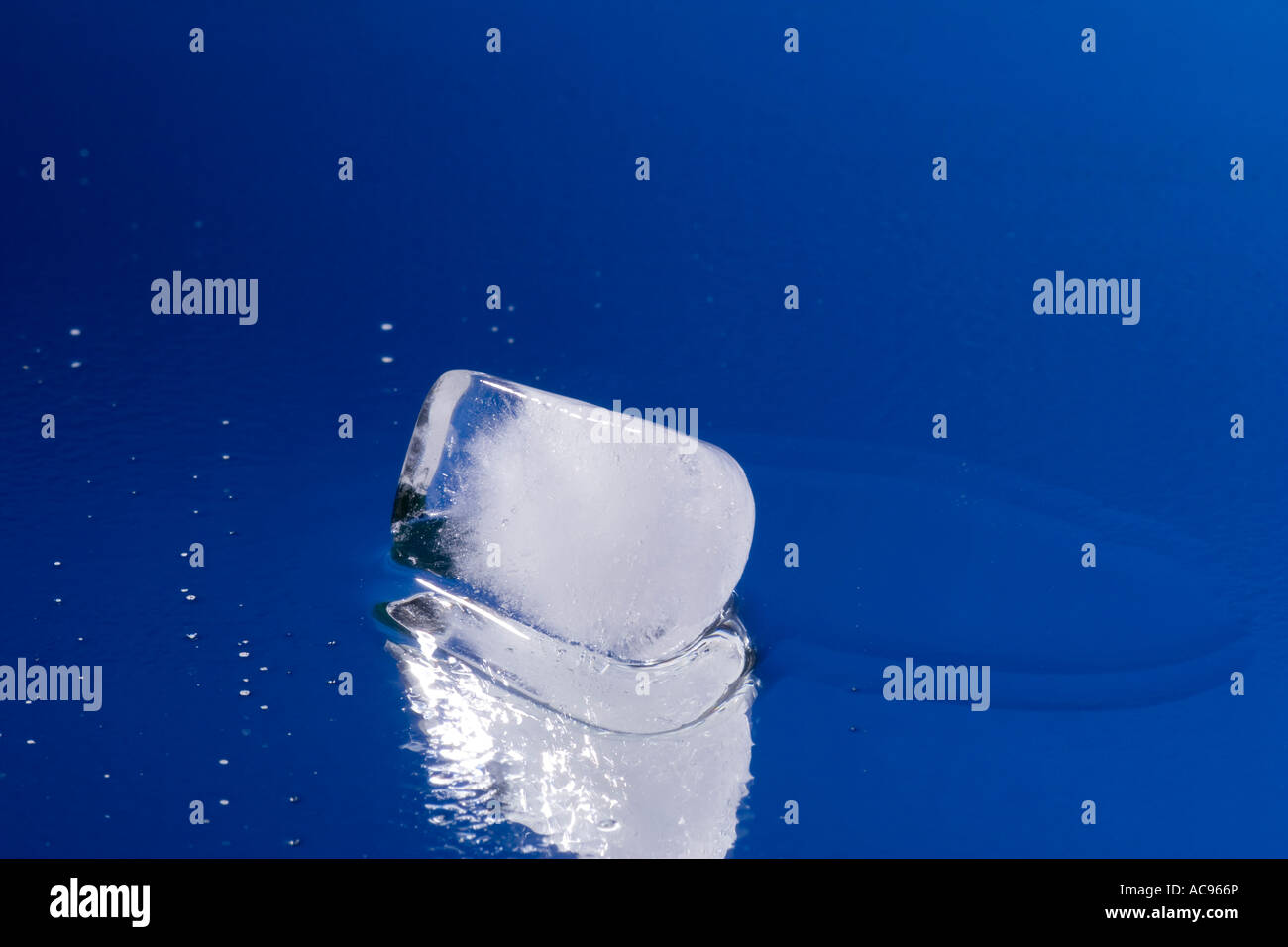 Melting ice cube with water drops on a mirror - blue background Stock ...