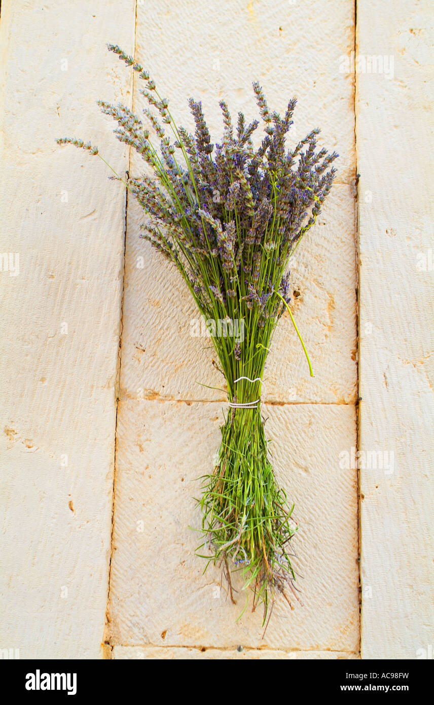 Bunch of lavander hung on the wall in Stari Grad on the island of Hvar, Croatia Stock Photo