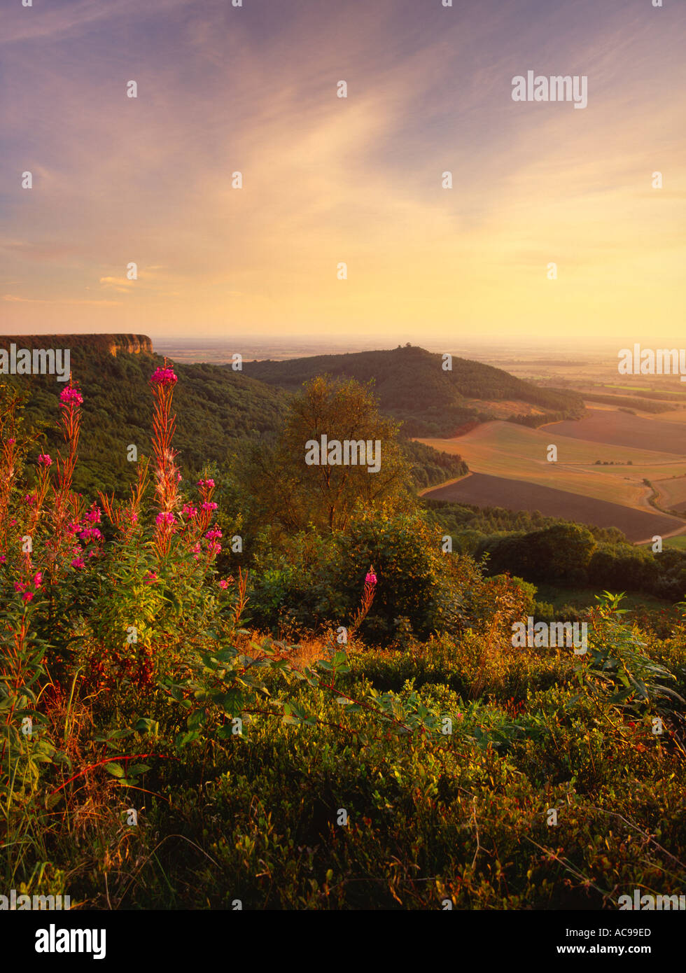 Sutton Bank North Yorkshire England Stock Photo - Alamy