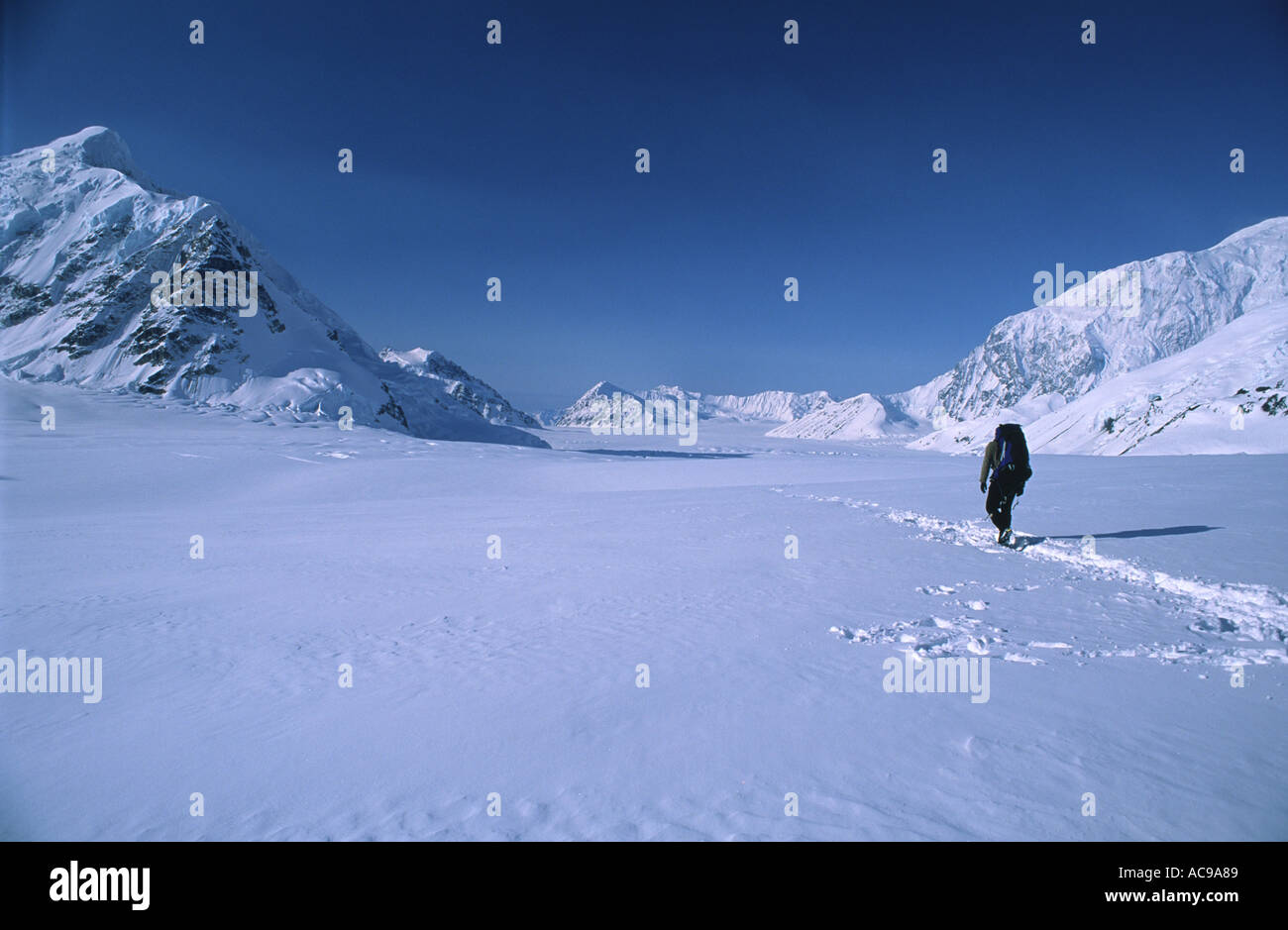 A mountaineer on the lower regions of the West Buttress Route, Denali ...