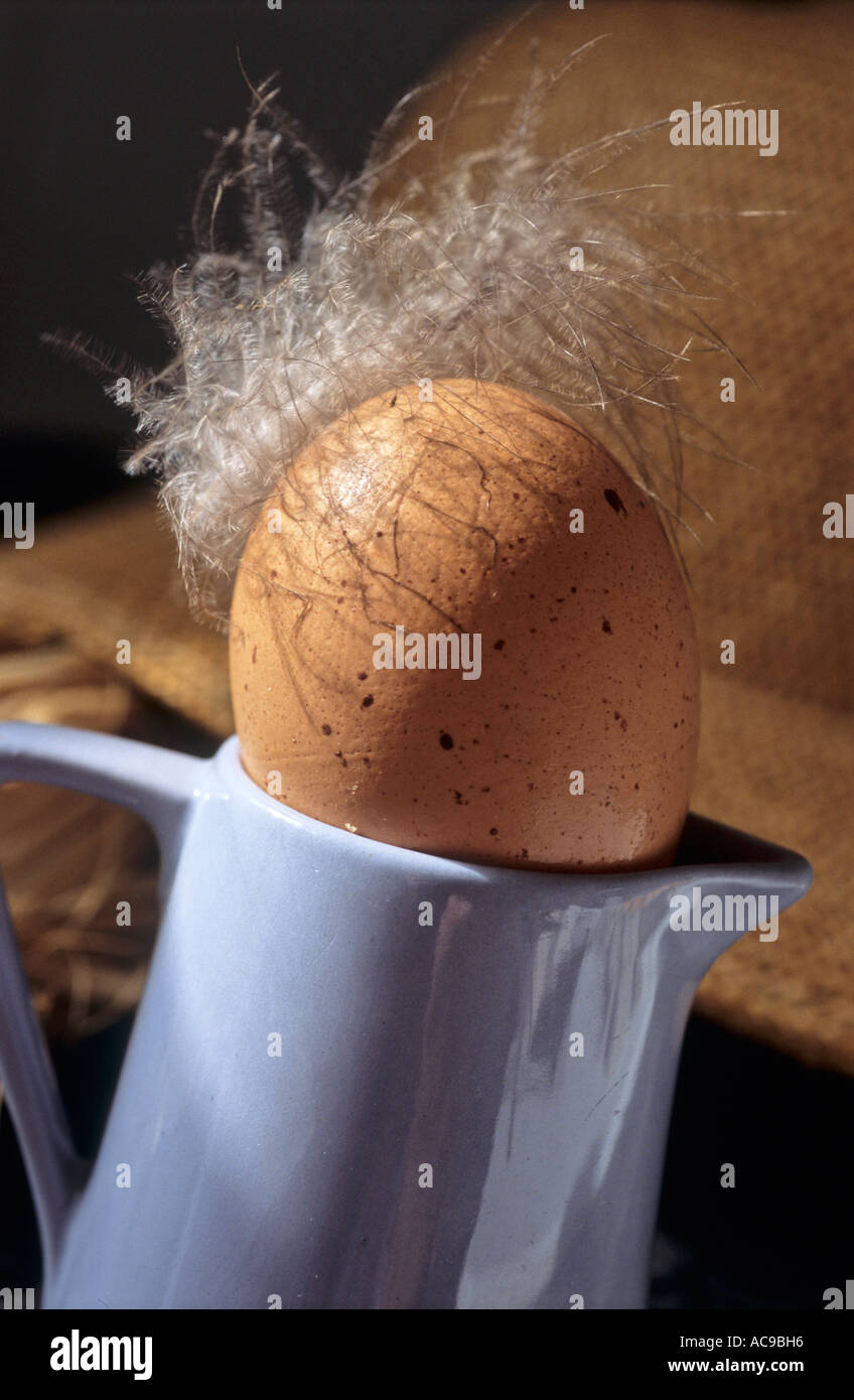 Speckled brown egg Stock Photo - Alamy